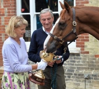 Sara Cumani and her husband, Luca Cumani are breeding their favorite horse, Kuster. Does Sara gave birth to Luca's children?
